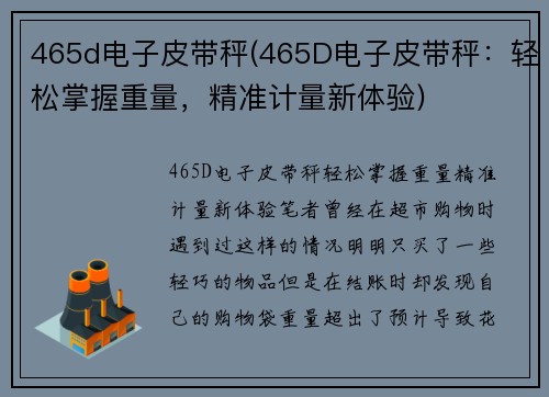 465d电子皮带秤(465D电子皮带秤：轻松掌握重量，精准计量新体验)